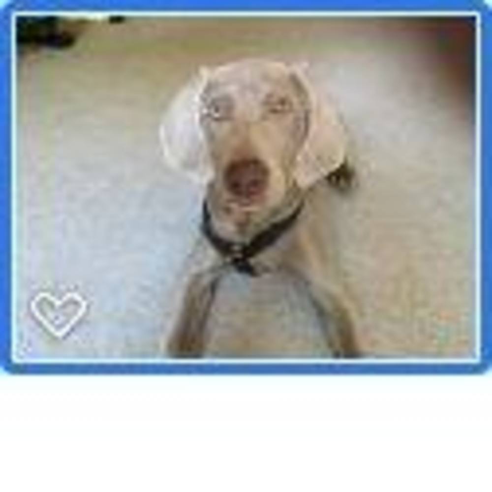 Meet your Posher, Maryann